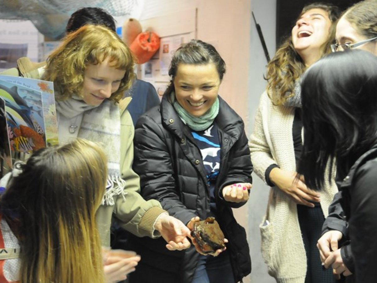 Exhibition tour with marine biologist