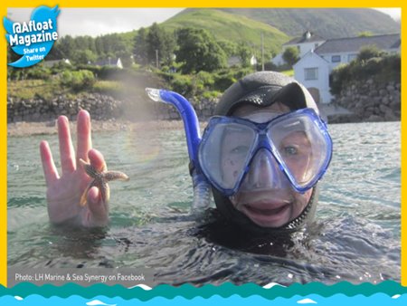 Starfish Attractions image