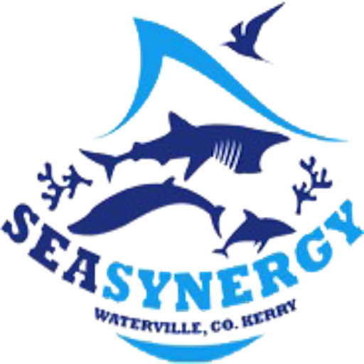 Sea Synergy Favicon