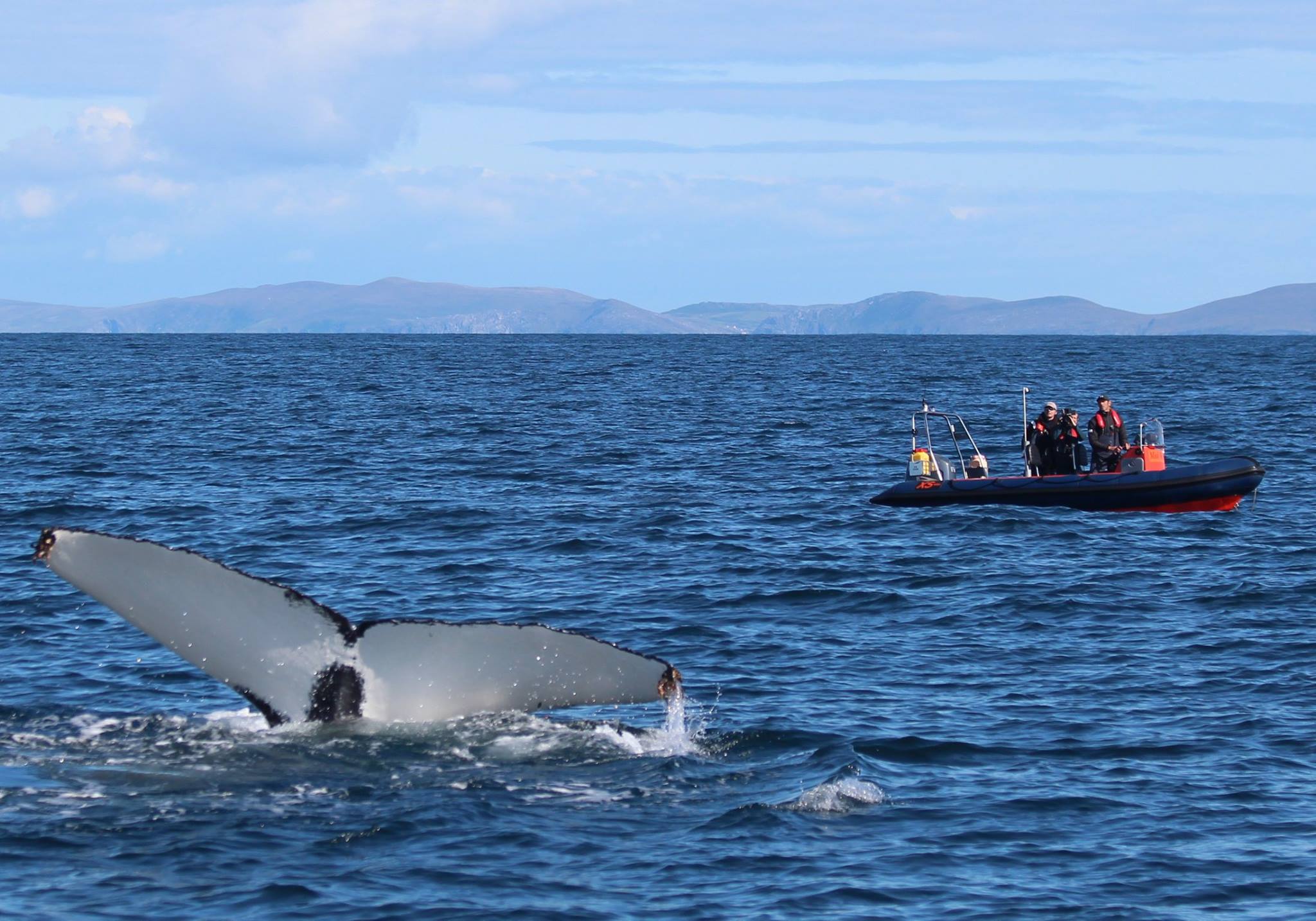 a small boat in a body of water