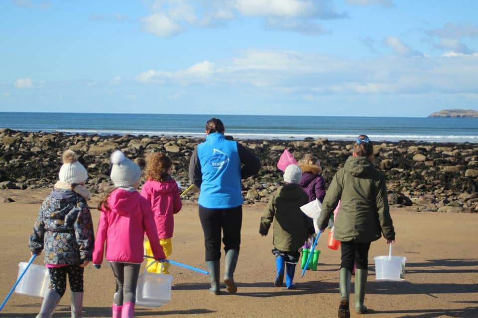 a group of people on a beach