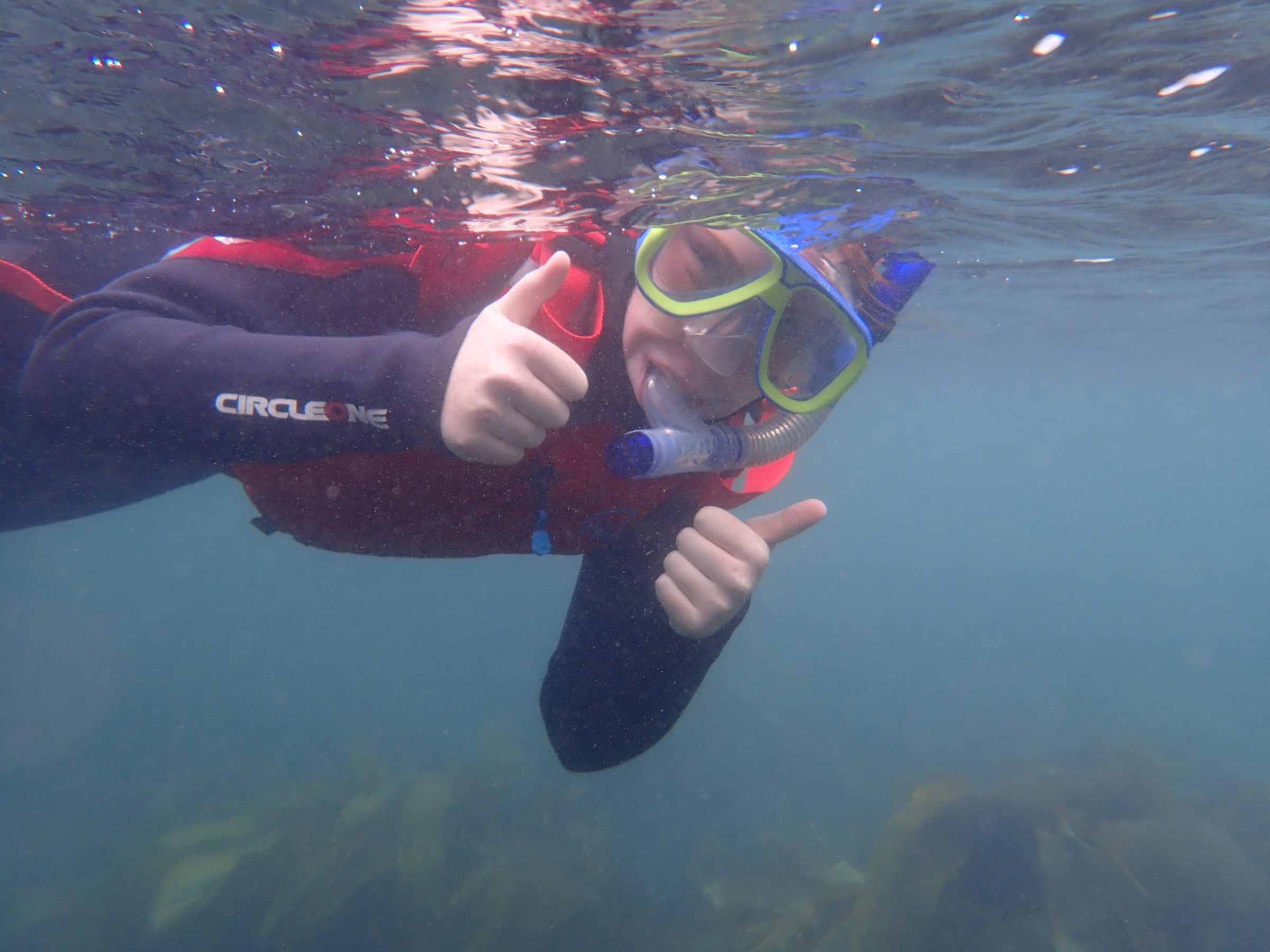 a person swimming in a body of water