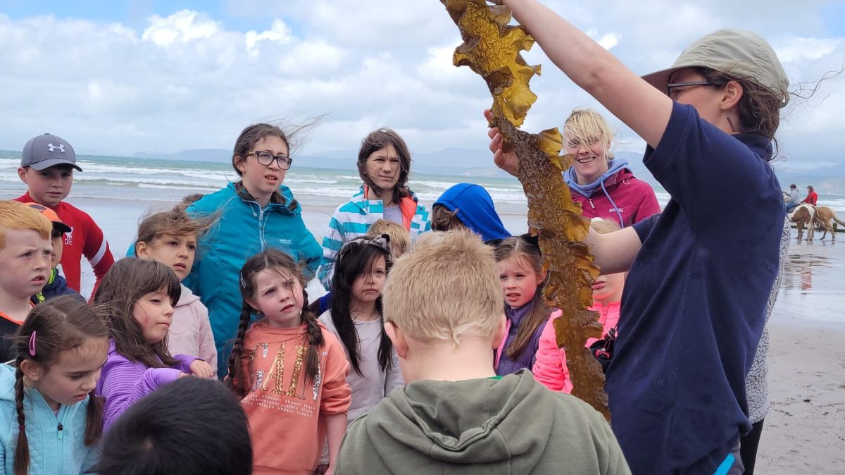 a group of people standing in front of a crowd