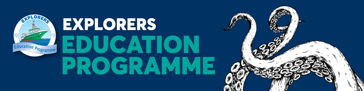 graphical user interface