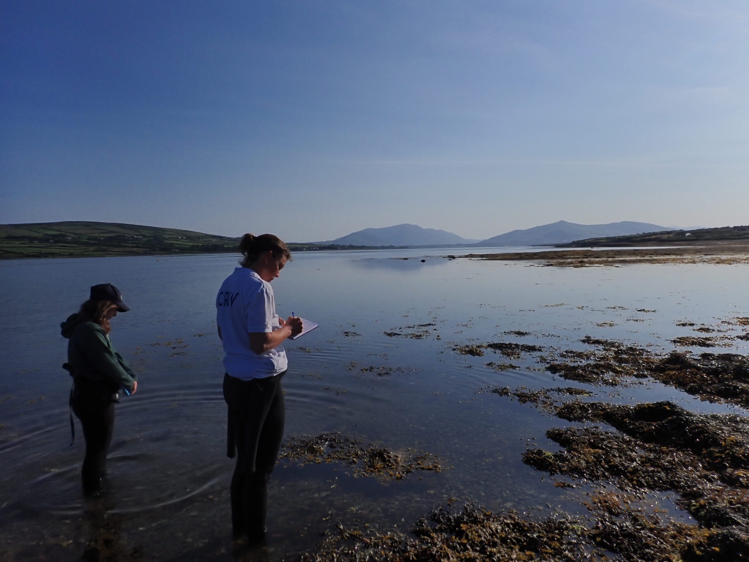 preparing for an early morning survey