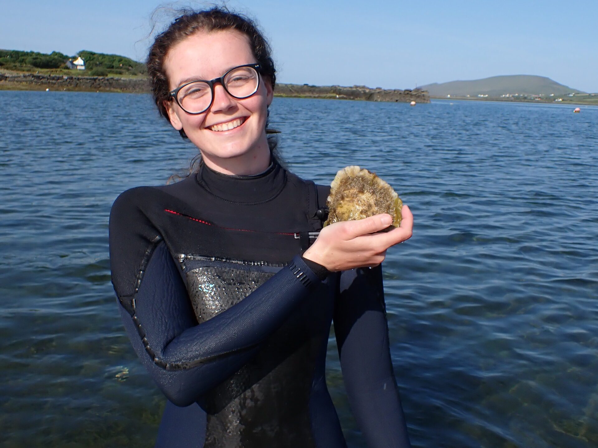 Surveyor with oyster