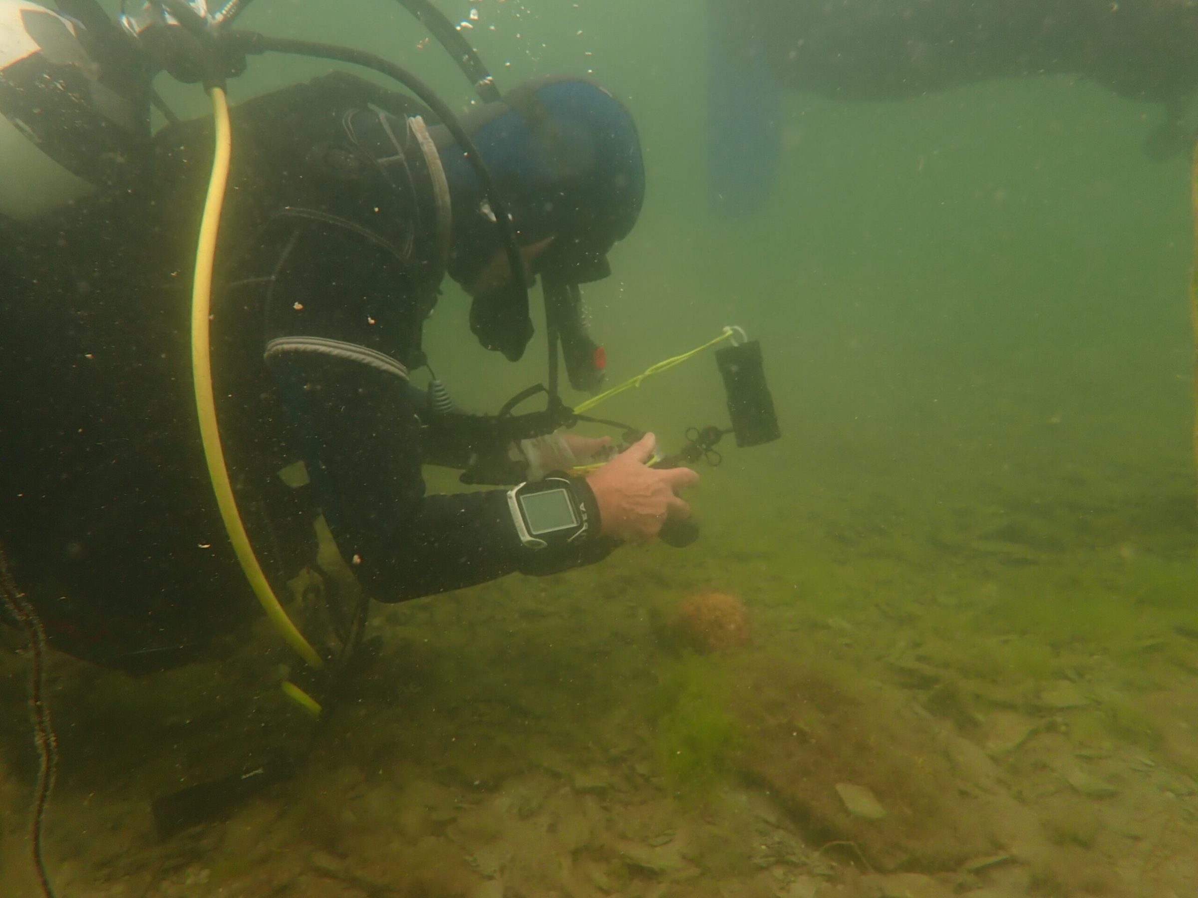 a person swimming in the water