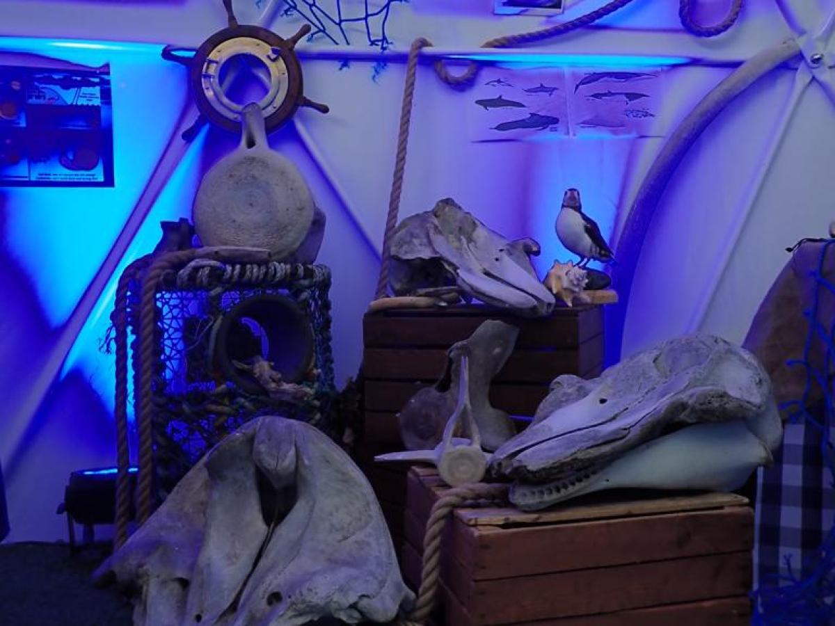 clothes hanging on a wall