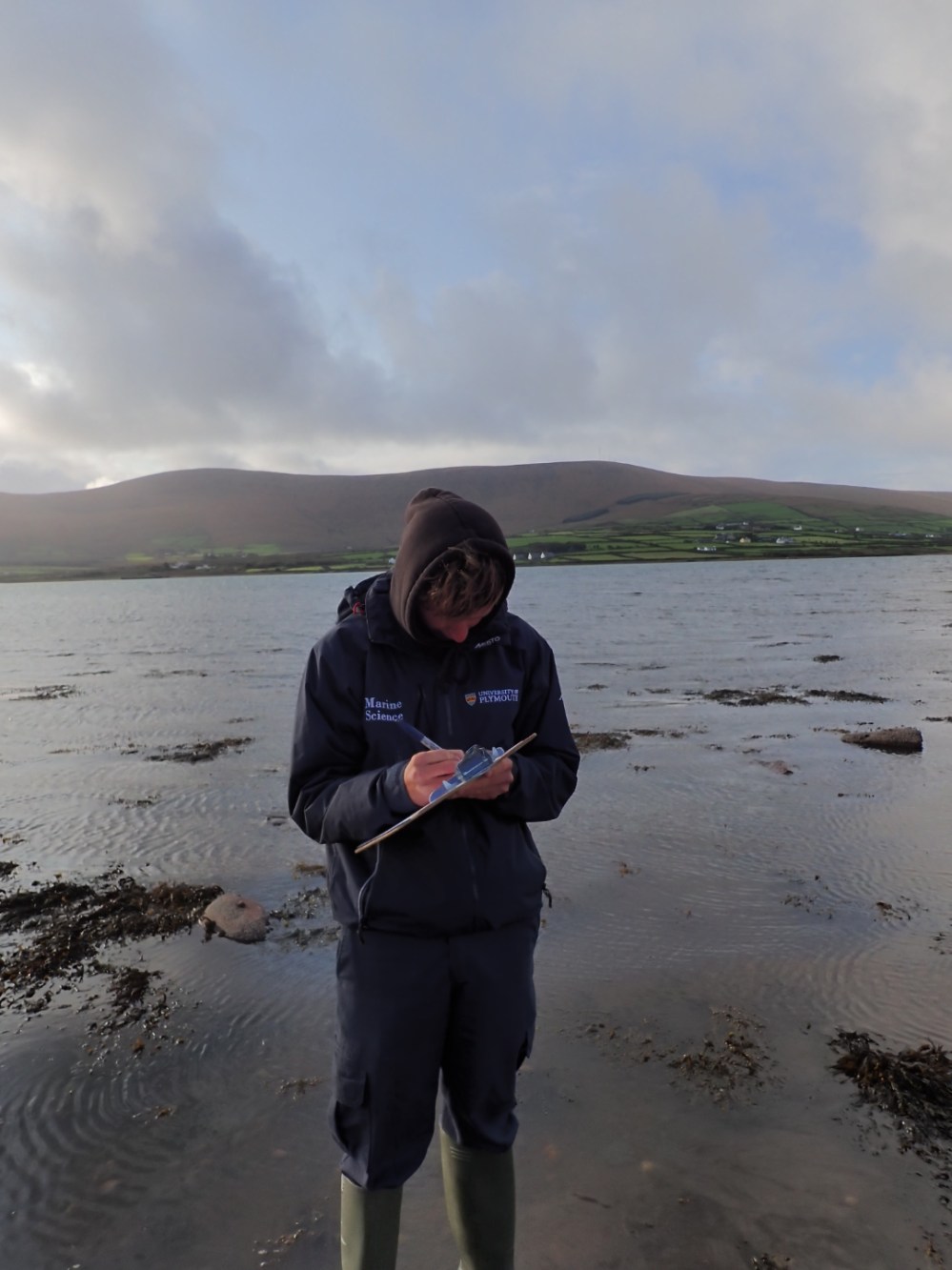 Sea Synergy intern Harvey Merrifield recording data on the shore of the Portmagee Channel