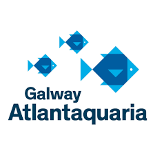 IMG_1892 logo, company name