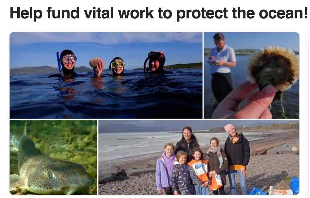 a group of people on a beach posing for the camera