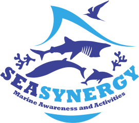 Sea Synergy