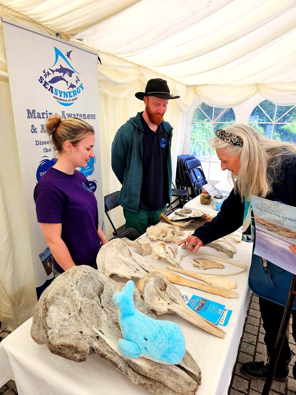 People at a booth with marine animal bones and educational materials in a tent.